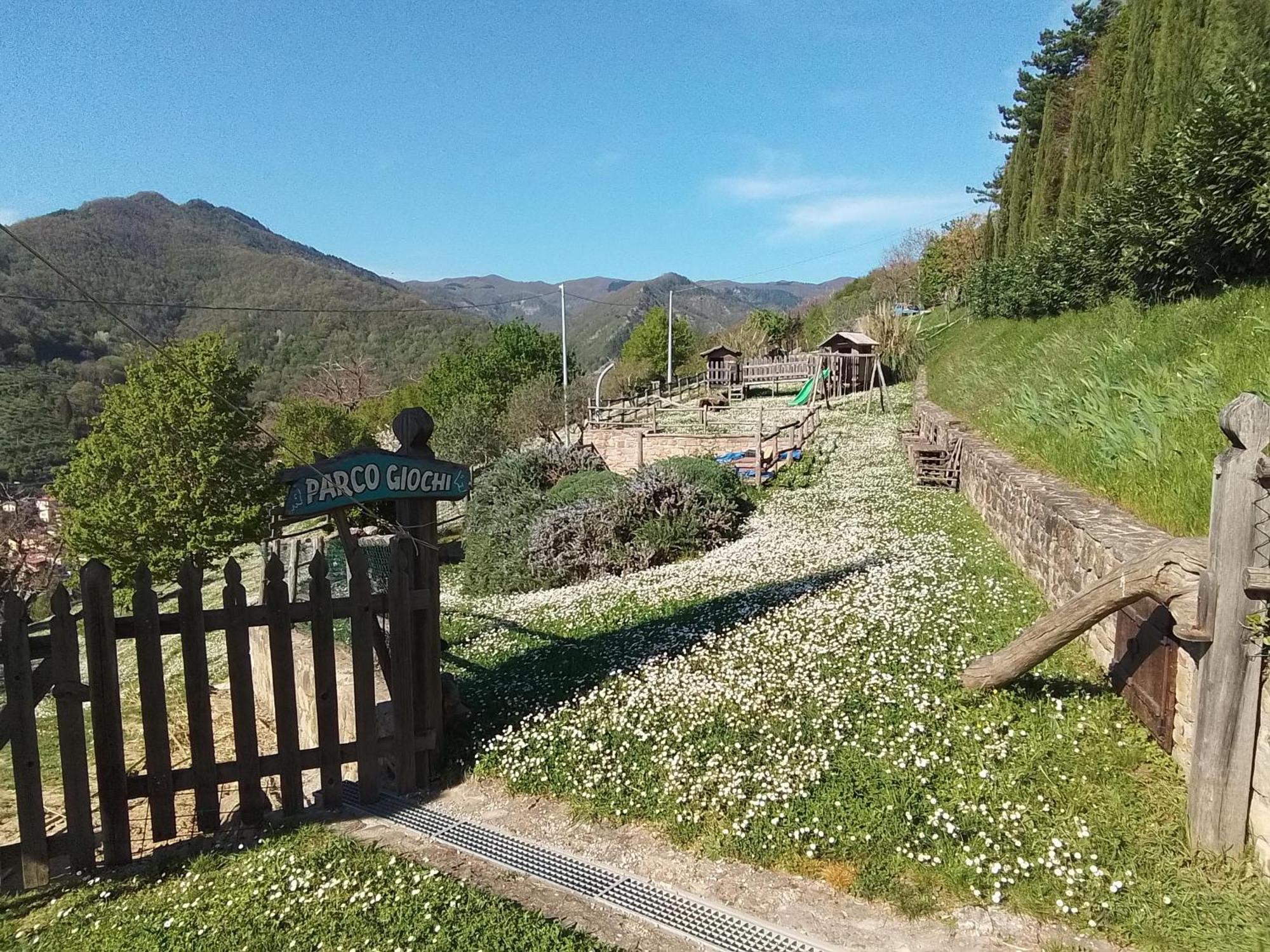 Casa Vacanze Podere Ugolini Ronta Exteriör bild