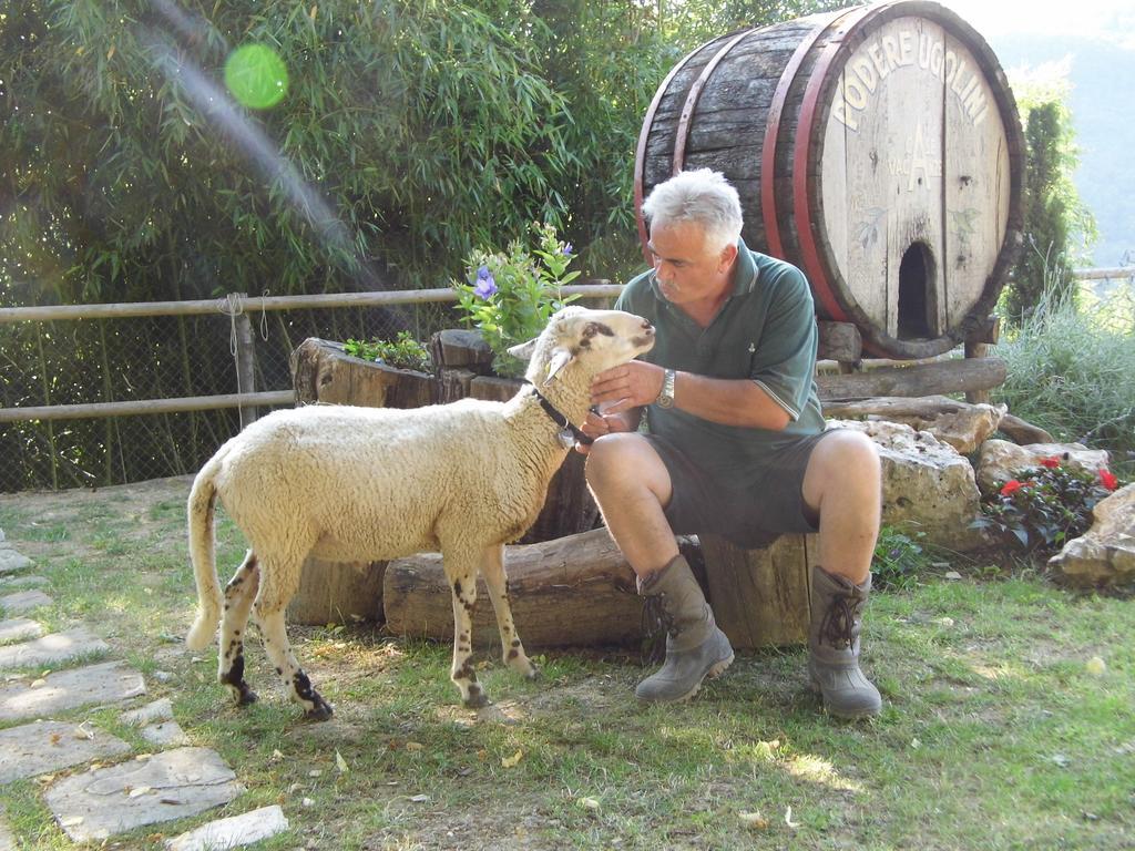 Casa Vacanze Podere Ugolini Ronta Exteriör bild