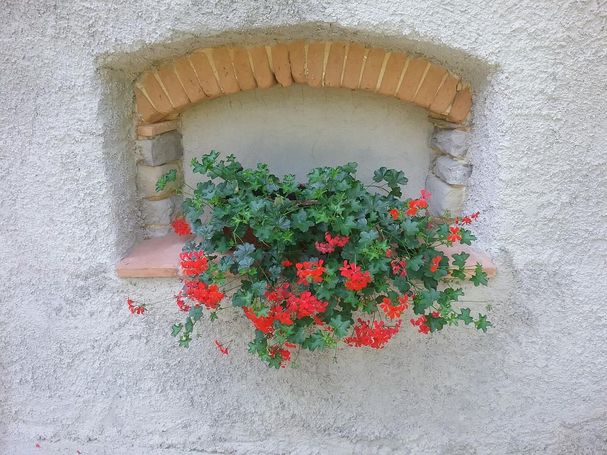 Casa Vacanze Podere Ugolini Ronta Exteriör bild
