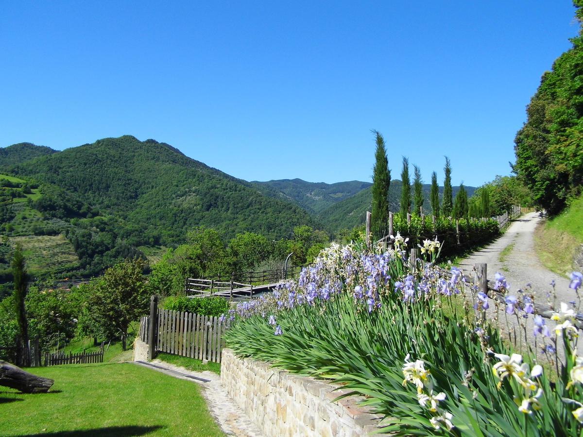 Casa Vacanze Podere Ugolini Ronta Exteriör bild