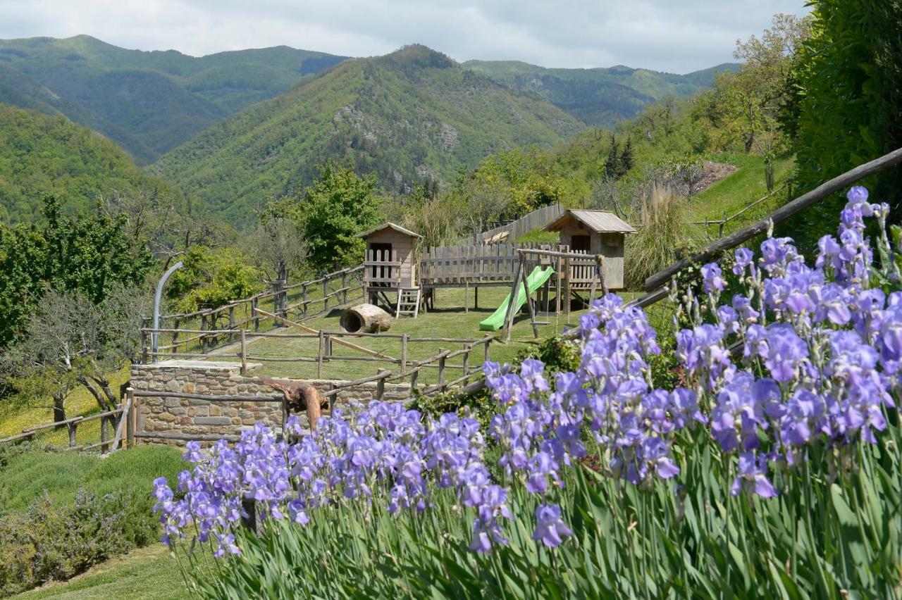 Casa Vacanze Podere Ugolini Ronta Exteriör bild